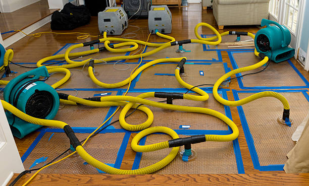 Professional Water Extraction technician working in Warrensburg, MO